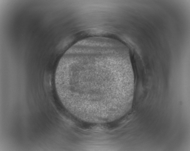 X0000062130115200512231448