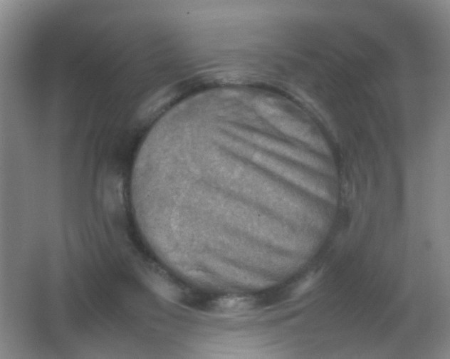 X0000062130117200512231448