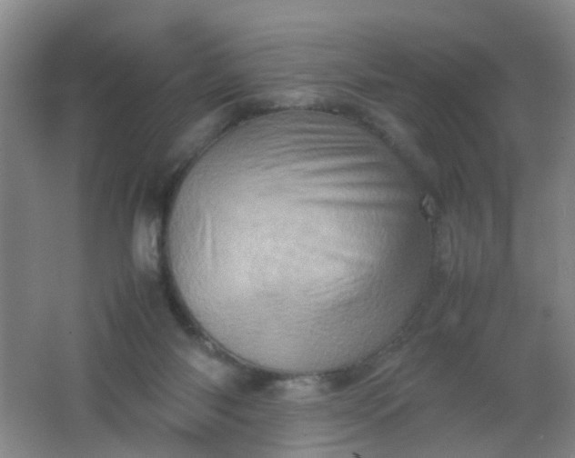 X0000062130118200512231448