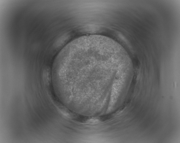 X0000062130119200512231448