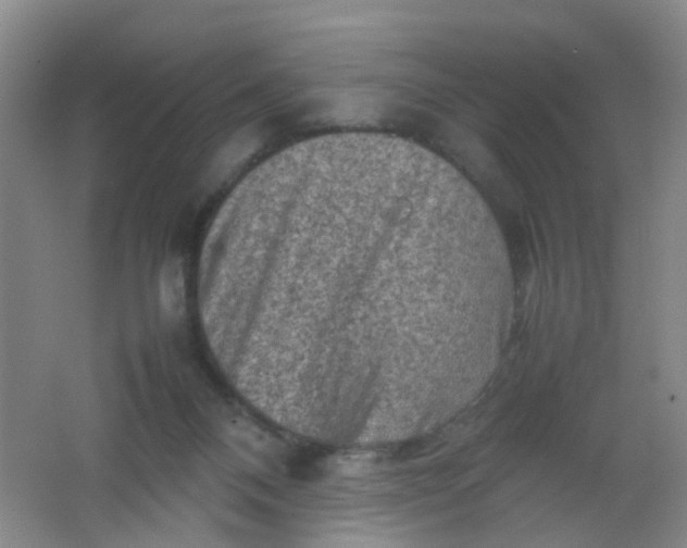 X0000062130120200512231448