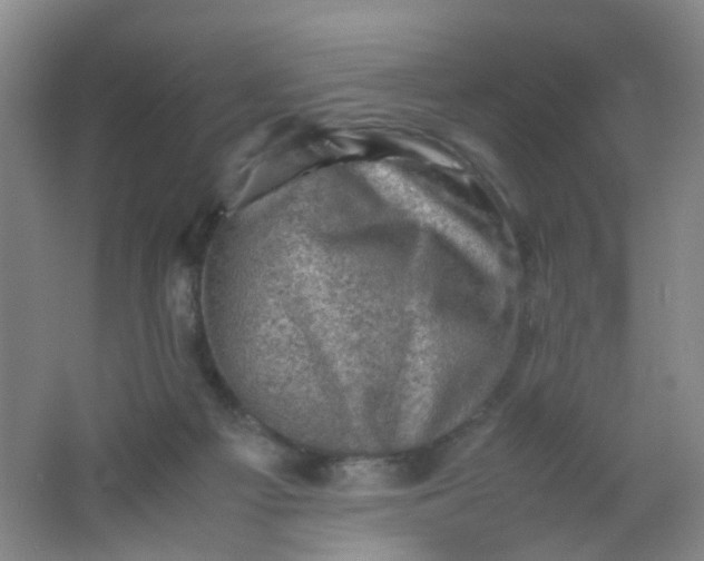 X0000062130121200512231448