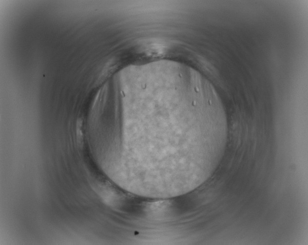 X0000062130122200512231448