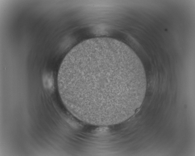 X0000062130124200512231448