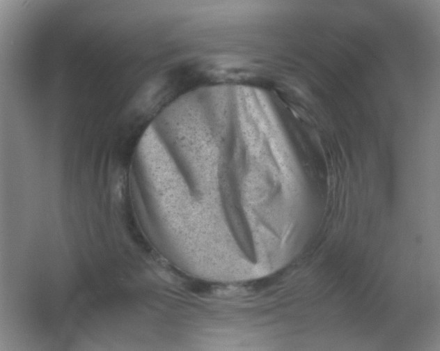 X0000062130125200512231448