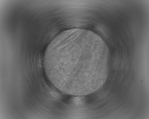 X0000062130126200512231448