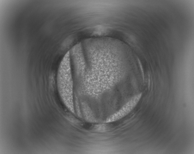 X0000062130127200512231448