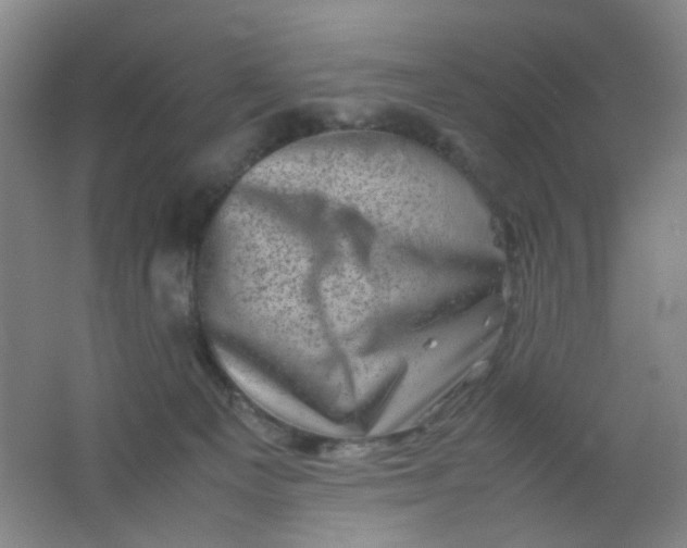 X0000062130129200512231448