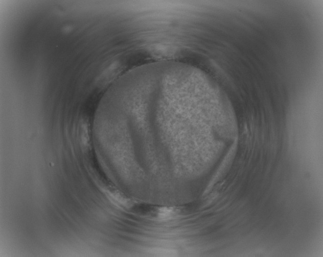 X0000062130130200512231448