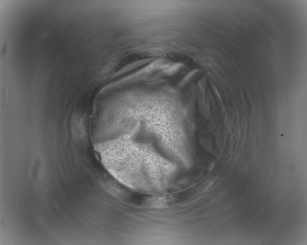 X0000062130131200512231448