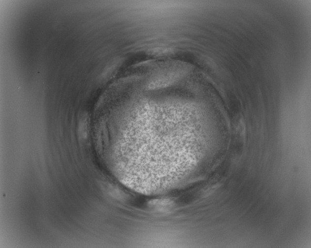 X0000062130133200512231448