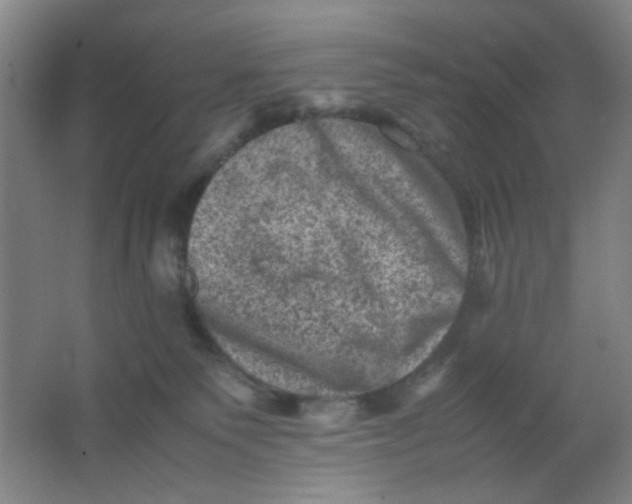 X0000062130135200512231448