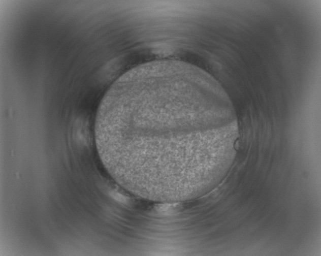 X0000062130136200512231448