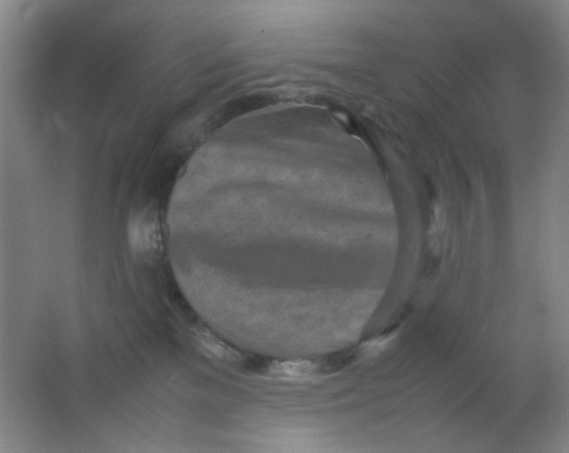 X0000062130137200512231448