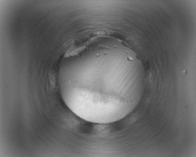 X0000062130139200512231448