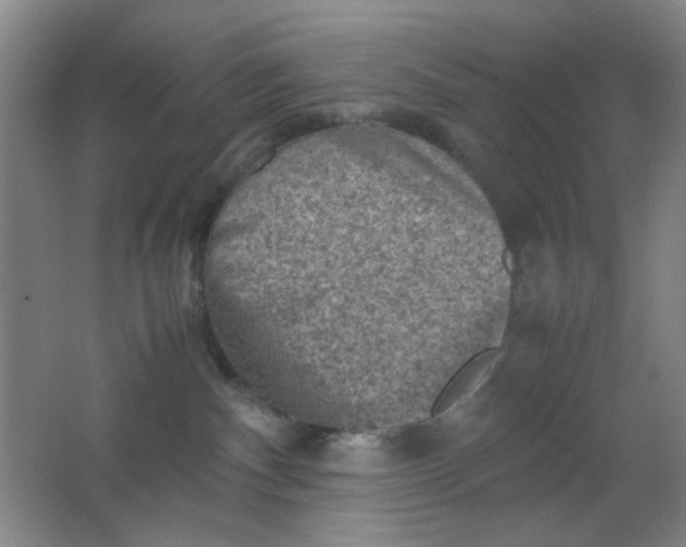 X0000062130140200512231448