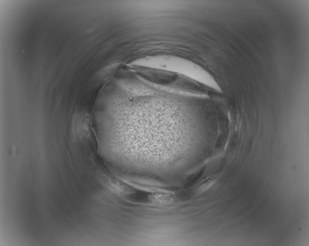 X0000062130141200512231448