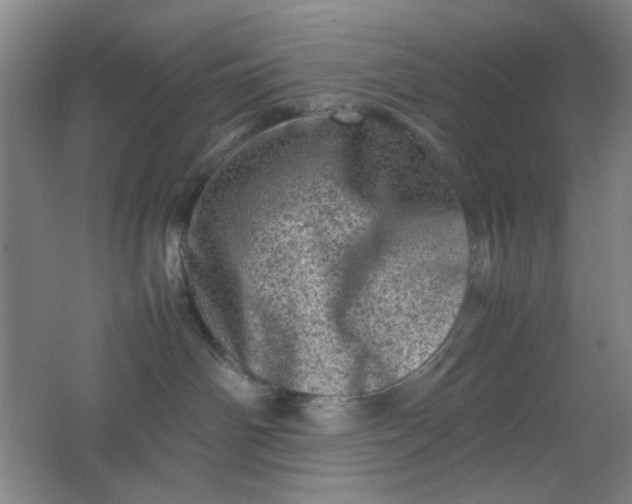 X0000062130142200512231448