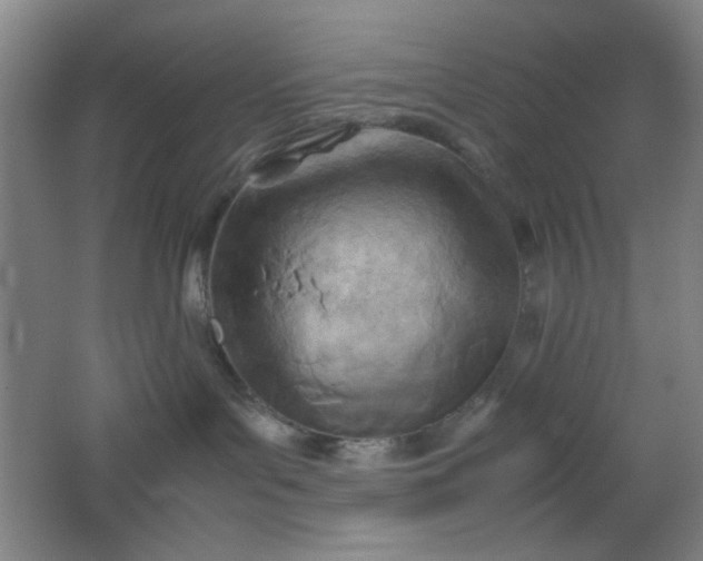 X0000062130143200512231448