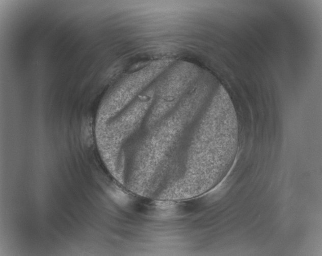 X0000062130144200512231448