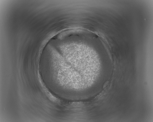 X0000062130145200512231447