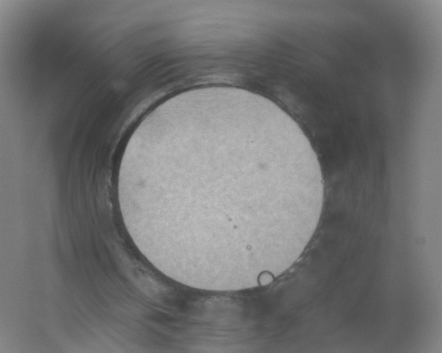 X0000062130146200512231447