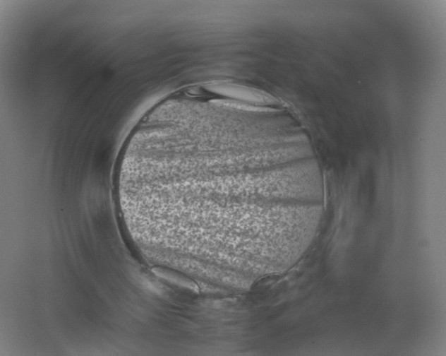 X0000062130147200512231447