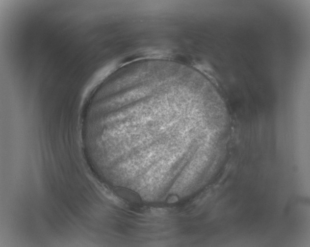 X0000062130149200512231447