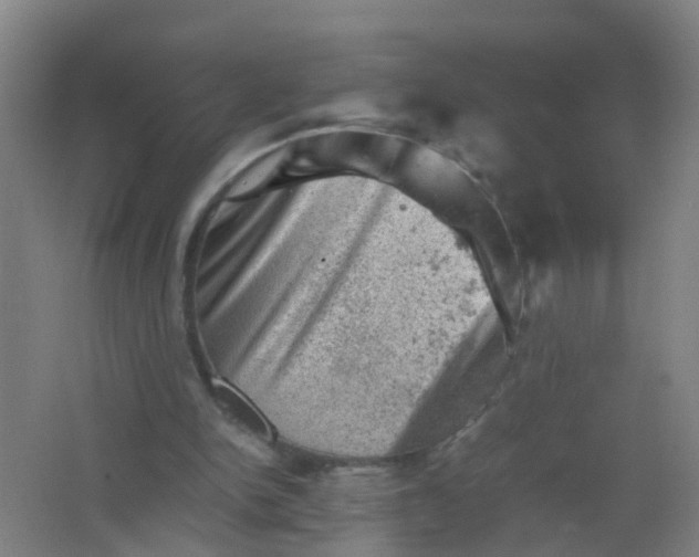 X0000062130150200512231447