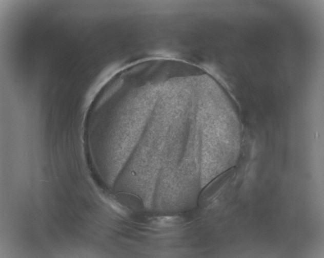 X0000062130151200512231447