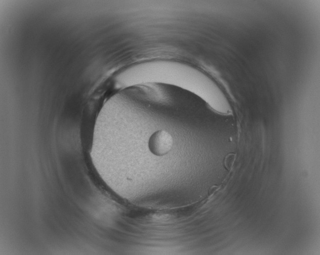 X0000062130154200512231447