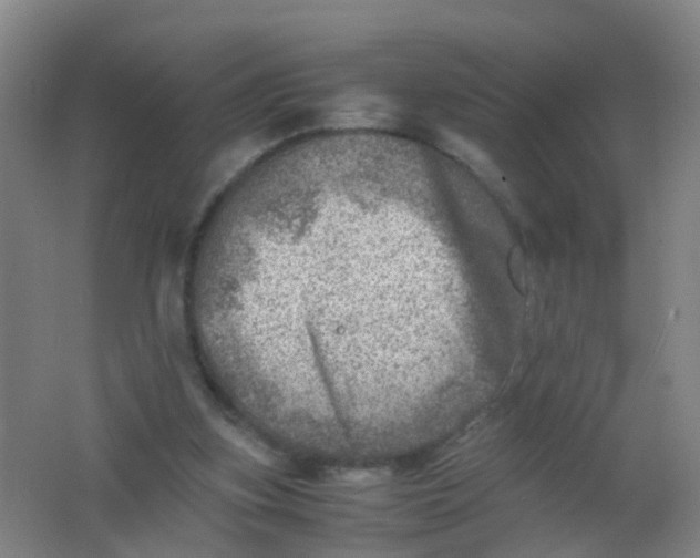 X0000062130155200512231447