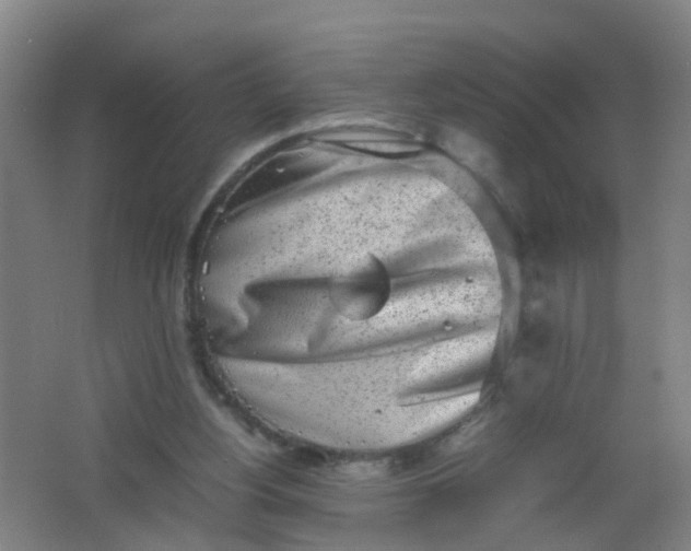 X0000062130156200512231447