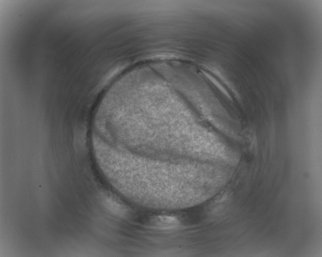 X0000062130159200512231447