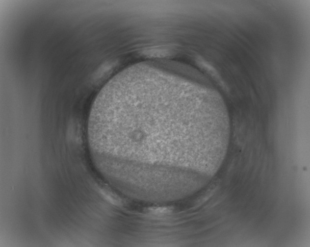 X0000062130161200512231447