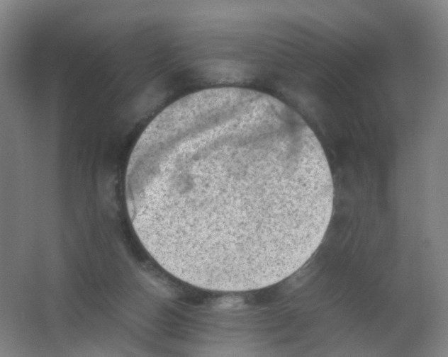 X0000062130162200512231447