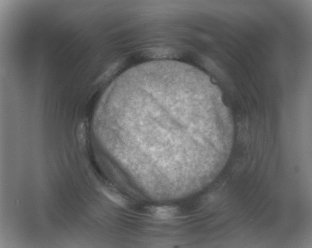 X0000062130165200512231447