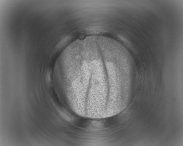 X0000062130166200512231447