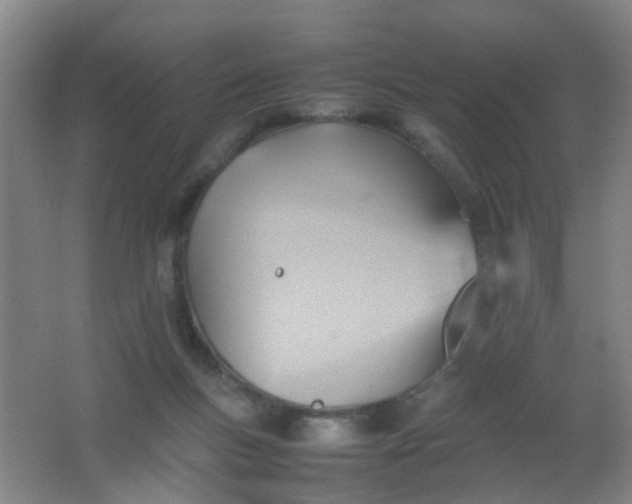 X0000062130167200512231447