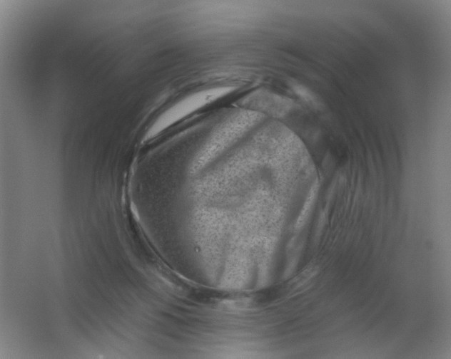 X0000062130168200512231448