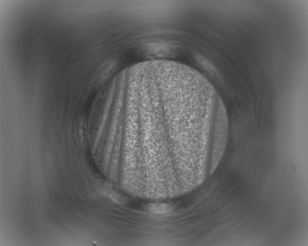 X0000062130169200512231448