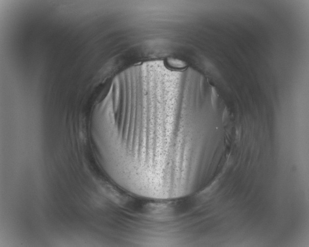 X0000062130170200512231448