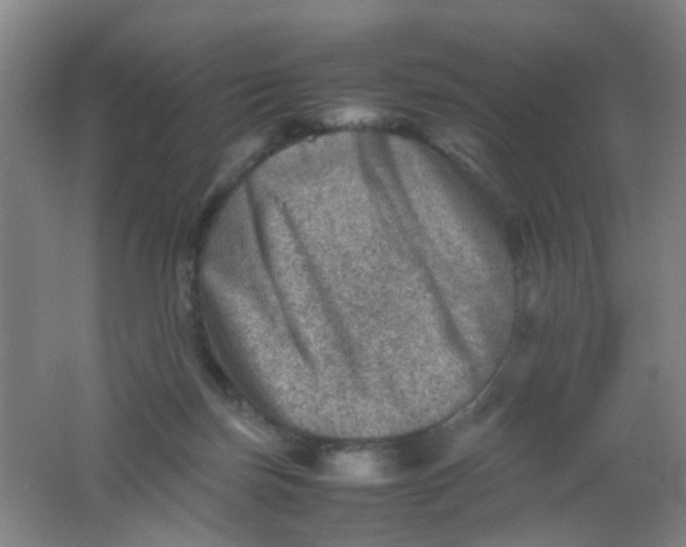 X0000062130171200512231448