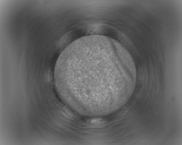 X0000062130173200512231448