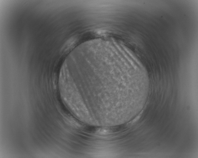 X0000062130174200512231448