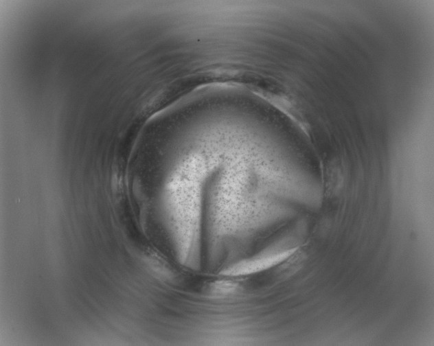 X0000062130176200512231448