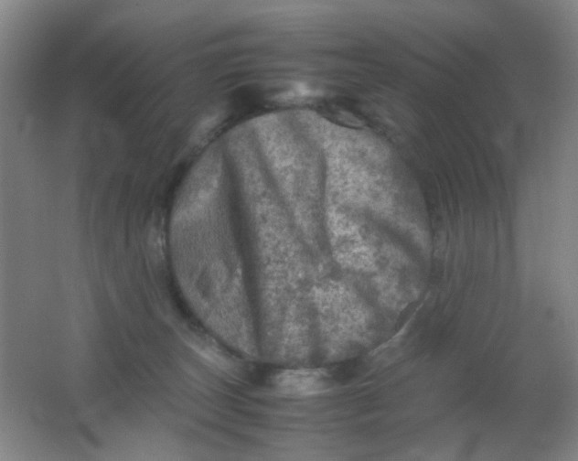 X0000062130179200512231448