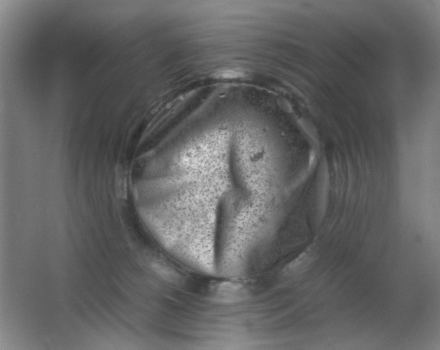 X0000062130180200512231448