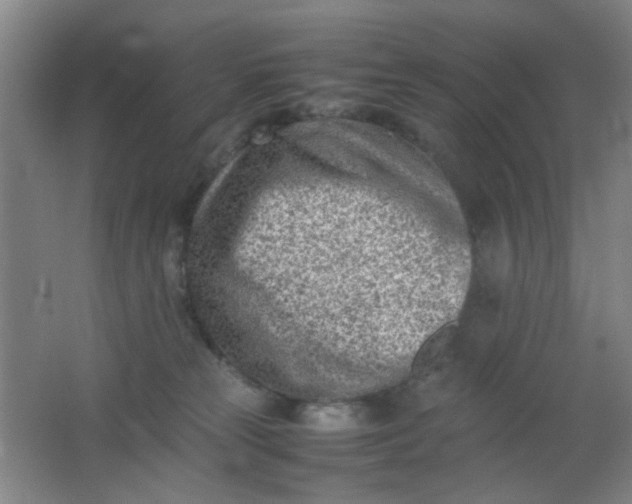 X0000062130181200512231448