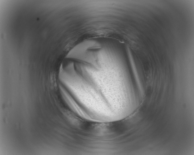 X0000062130182200512231448